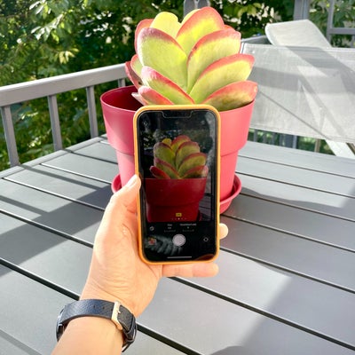 iPhone 13 : comment personnaliser ses Styles Photographiques ?