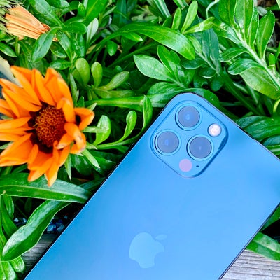 Notre test des capacités photo de l'iPhone 12 Pro