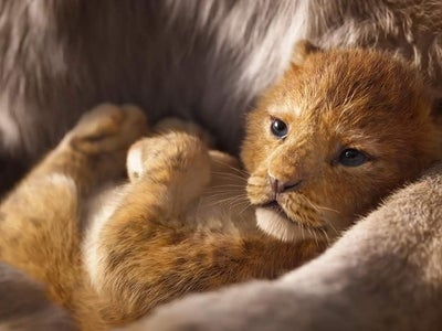 Hakuna Matata, Le Roi lion arrive enfin sur Disney+
