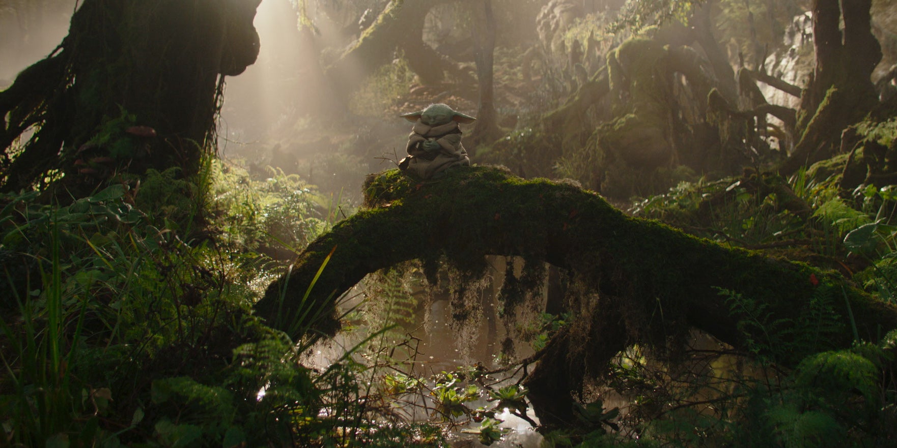 Din Grogu dans "The Mandalorian and Grogu"