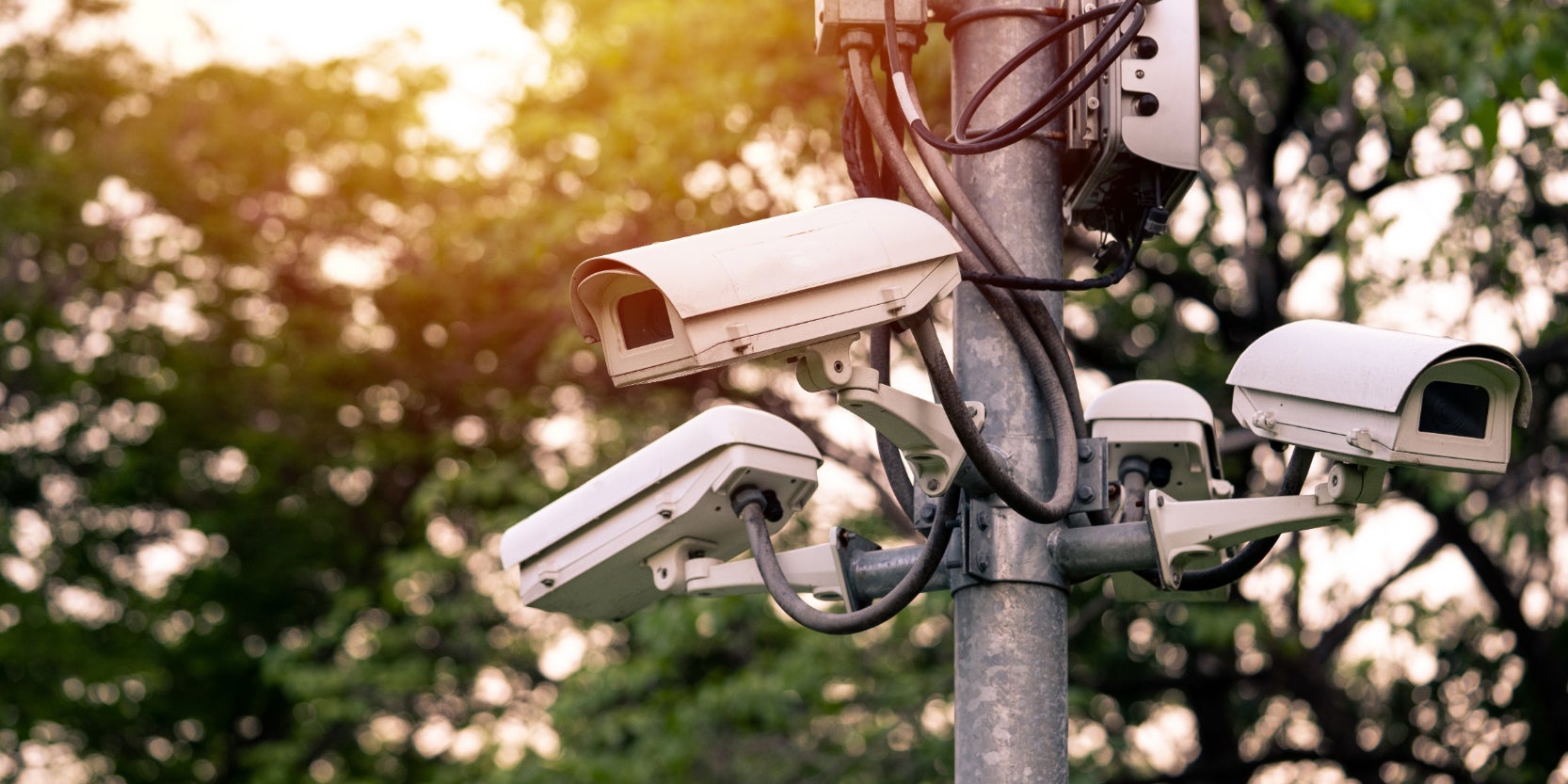 Reconnaissance faciale et criminalité : un échec ?