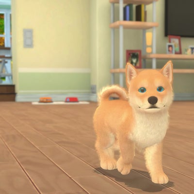 Instant Sports+ & My Universe Puppies & Kittens débarquent sur SFR Gaming