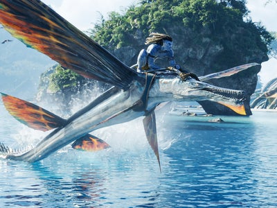 VOD : les nouveautés en avril 2023 chez SFR, avec Avatar 2