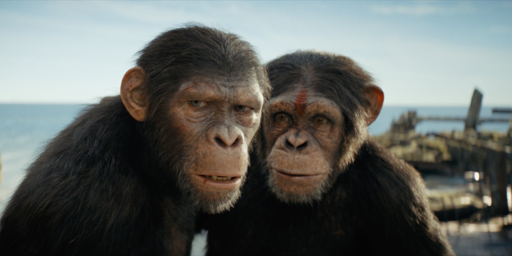 Dans quel ordre regarder la saga de "La Planète des singes" ?