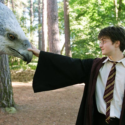 Harry Potter et le Prisonnier d'Azkaban : connaissiez-vous cette anecdote de tournage ?