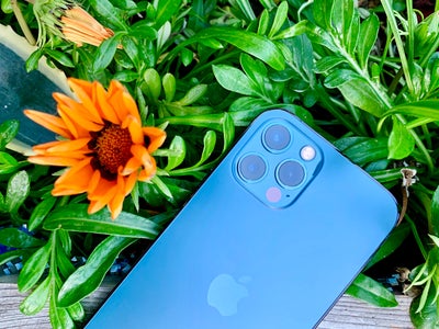 Notre test des capacités photo de l'iPhone 12 Pro