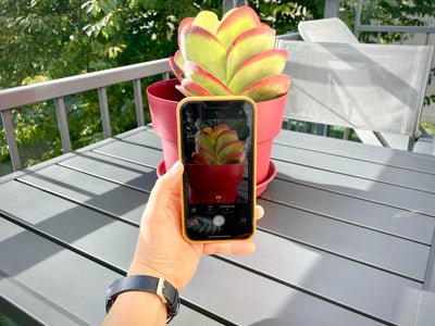 iPhone 13 : comment personnaliser ses Styles Photographiques ?