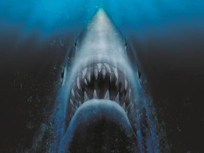 "Les Dents de la Mer" fête ses 45 ans sur TCM Cinéma