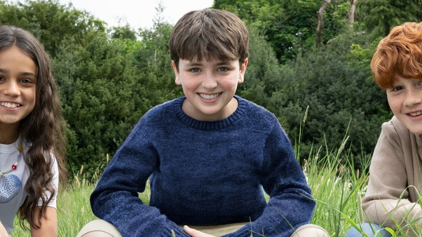 Arabella Stanton, Dominic McLaughlin et Alastair Stout incarneront respectivement Hermione Granger, Harry Potter et Ron Weasley dans la future série Harry Potter. 