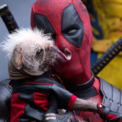 Mauvaise nouvelle pour les fans de Deadpool