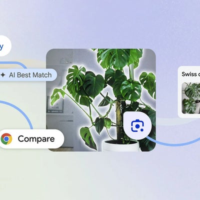 Google Lens : 5 utilisations insoupçonnées de l'outil