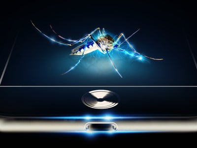 Applis anti-moustiques : est-ce vraiment efficace ?