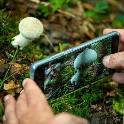 Tuto Android : comment prendre des photos en mode macro ?