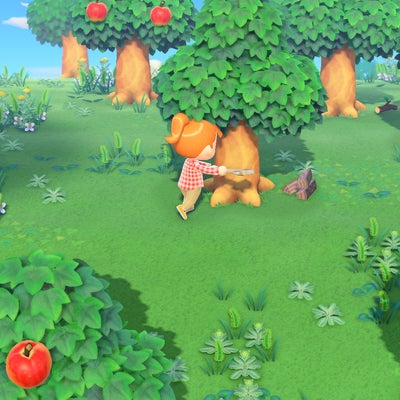 Animal Crossing : 8 choses qu'il faut faire tous les jours