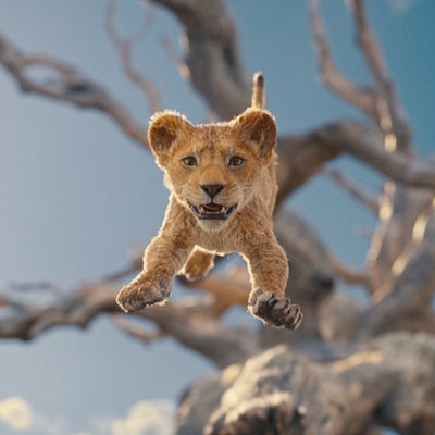 Mufasa : date, intrigue, casting... Tout ce qu'on sait du film préquel du Roi Lion