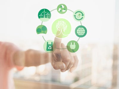 Semaines du développement durable : adoptez un numérique plus vert avec SFR