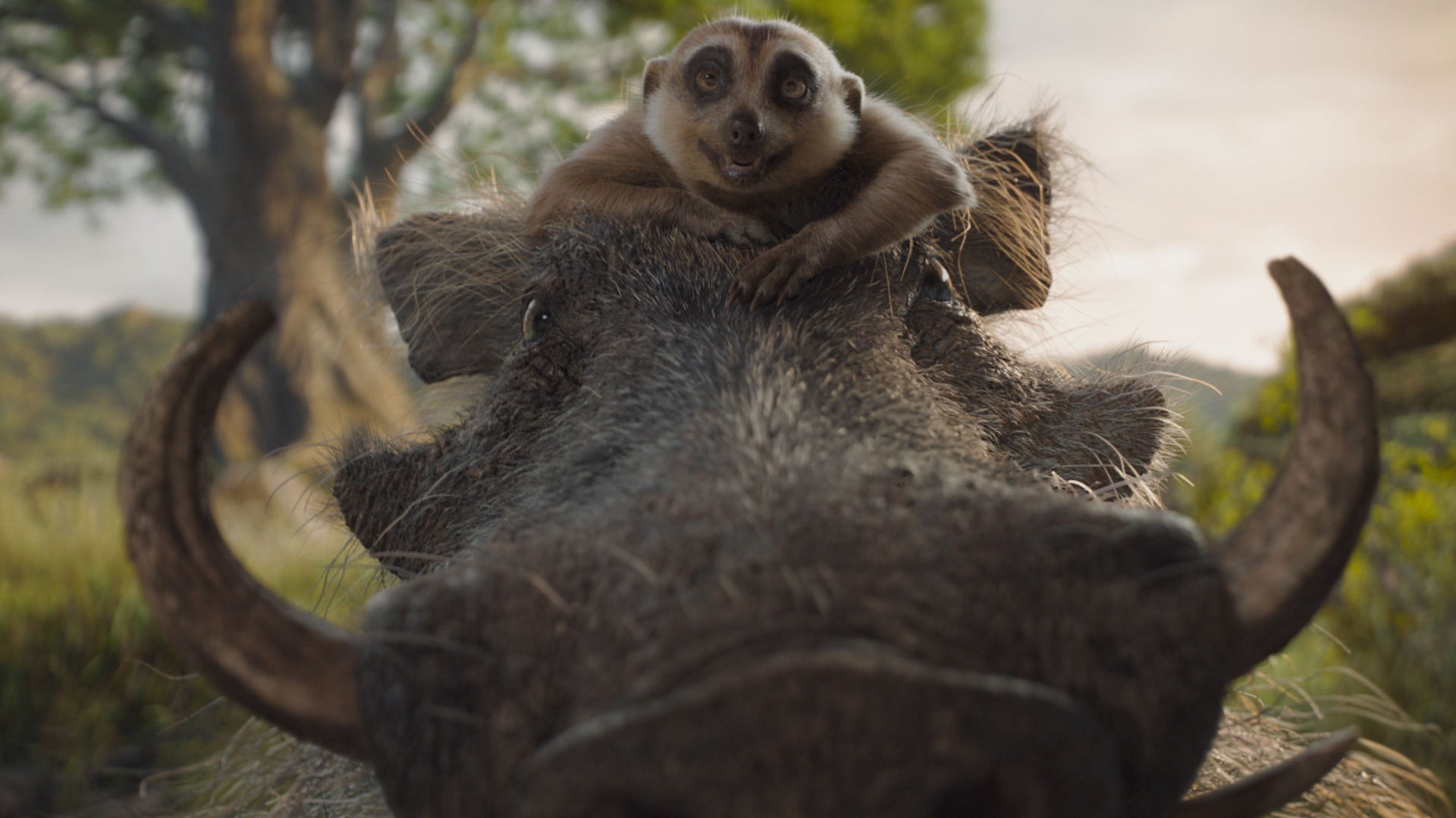 Timon et Pumba dans Mufasa