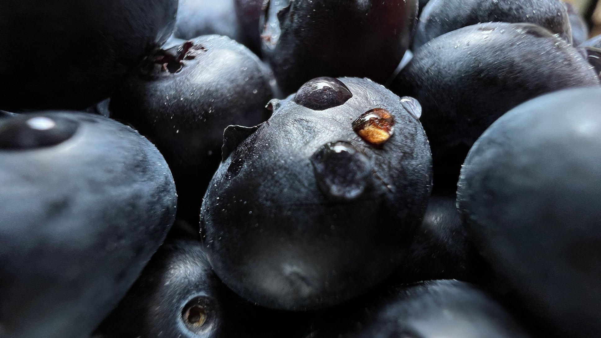 Avec le capteur ultra grand-angle des iPhone 13 Pro et iPhone 13 Pro Max, vous pourrez vous rapprocher au plus près pour faire des photos macro saisissantes de détails...