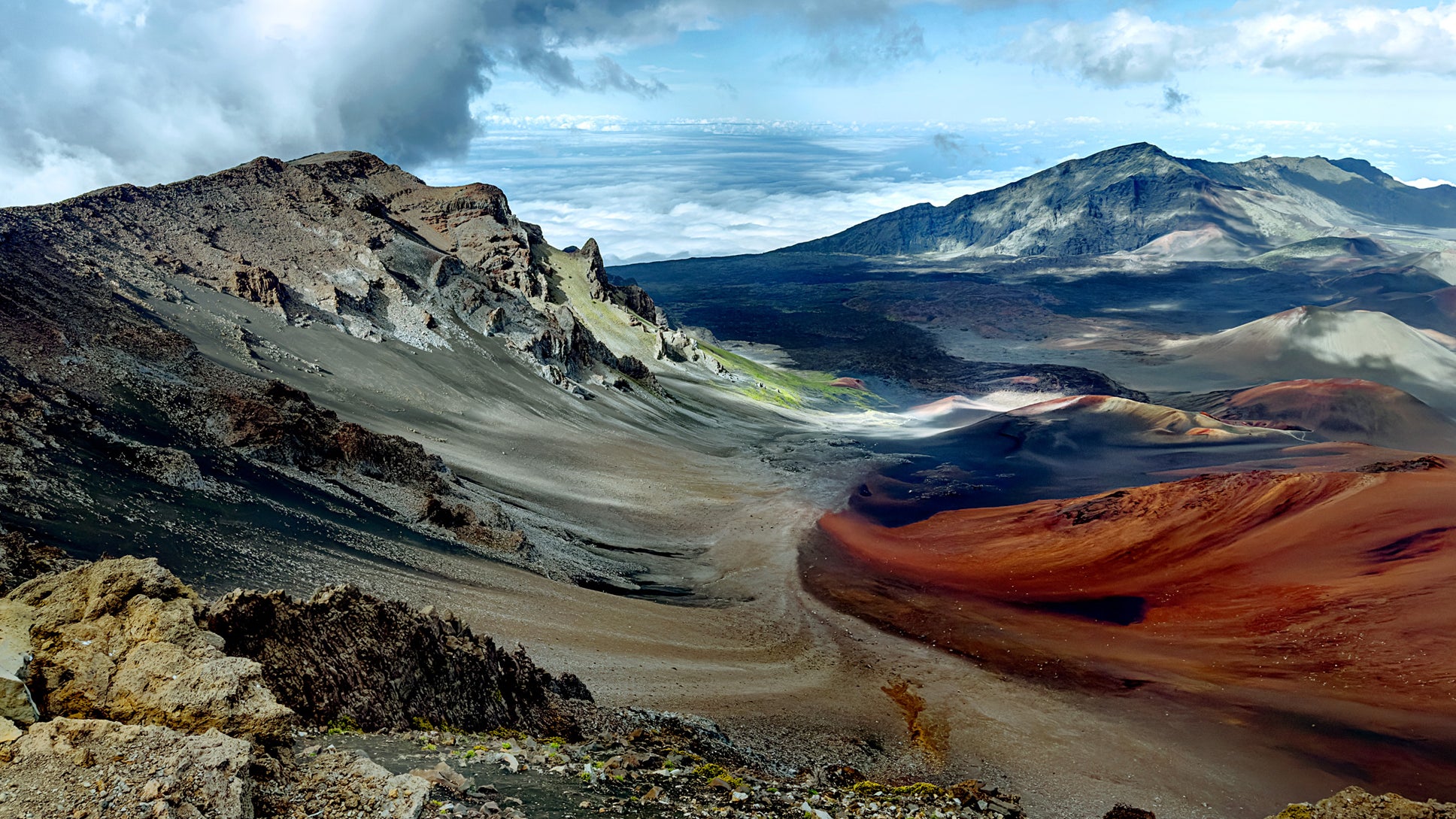 Toujours plus de détails grâce au nouveau capteur quad-pixel sur les iPhone 14 Pro.