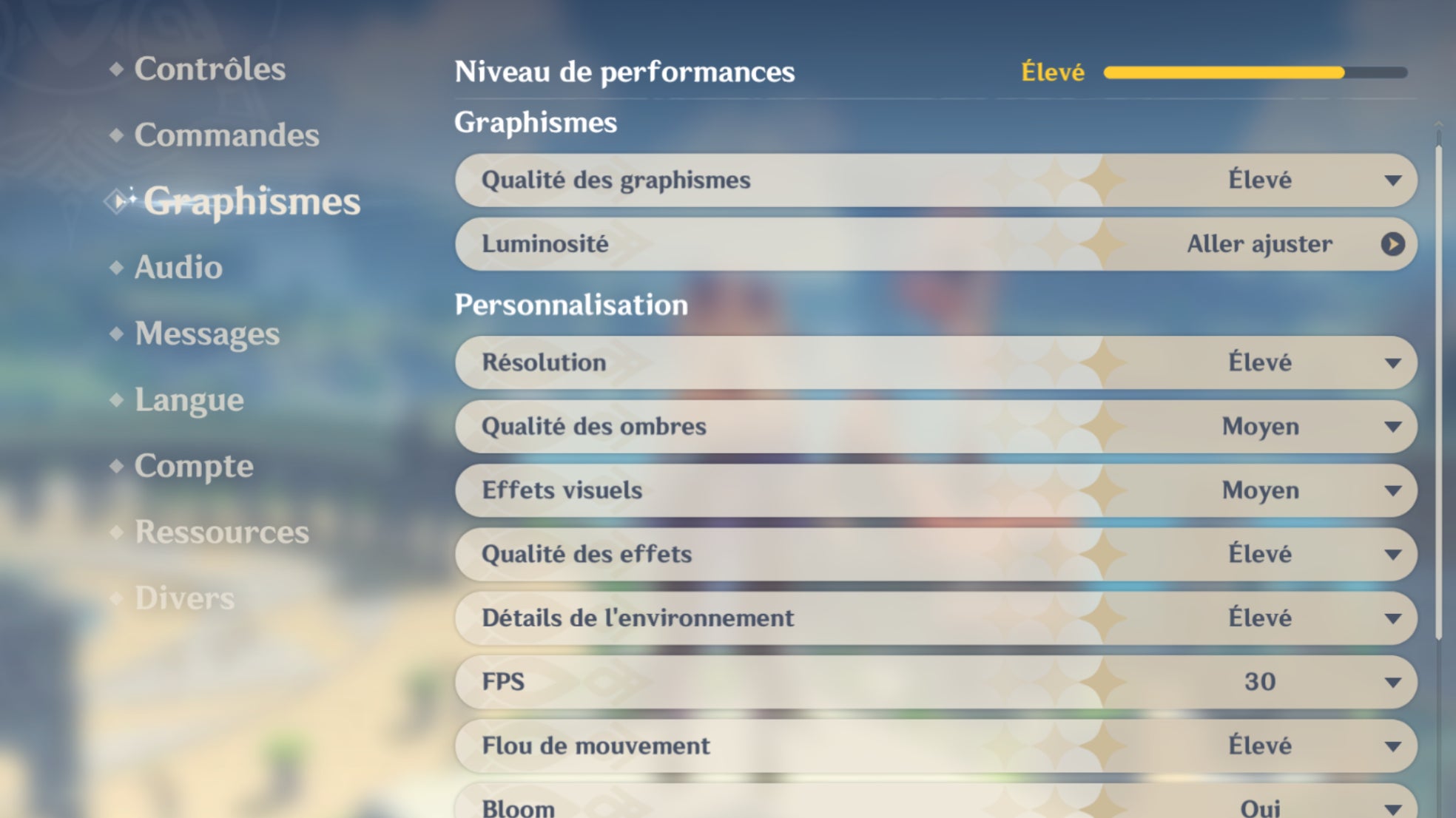 Les performances restent largement paramétrables selon les goûts du joueur (fluidité ou graphismes détaillés)