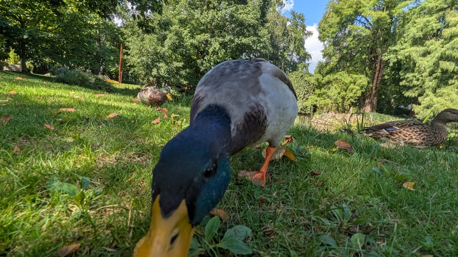 ...ou de faire des plans épiques ultra qualitatifs.