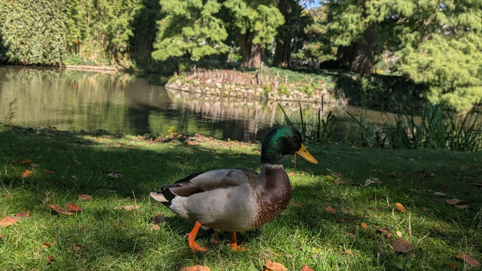 Photo prise avec le Pixel 9 durant notre test