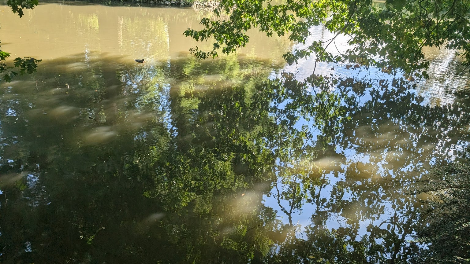 Même avec peu de lumière, la qualité des clichés reste très satisfaisante.