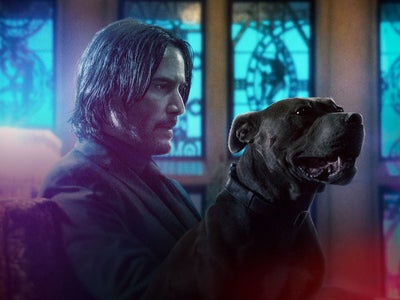 John Wick : une nouvelle série spin-off est en préparation