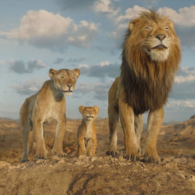 Mufasa : Barry Jenkins a donné sa patte au Roi Lion