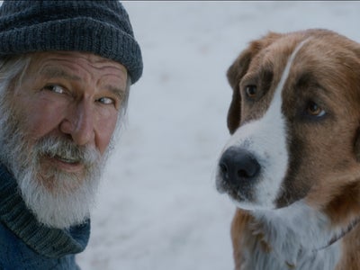 Journée mondiale du chien : sélection de 10 films avec du mordant