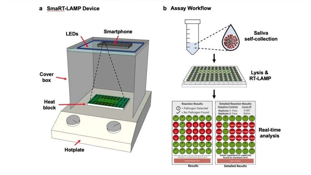 À gauche, le système avec son boîtier en carton, la plaque chauffante sur laquelle repose le kit de test. En haut, le smartphone vient analyser la couleur du mélange de salive avec le réactif. À droite, le kit de test et l’analyse en temps réel des résultats. À gauche, le système avec son boîtier en carton, la plaque chauffante sur laquelle repose le kit de test. En haut, le smartphone vient analyser la couleur du mélange de salive avec le réactif. À droite, le kit de test et l’analyse en temps réel des résultats.