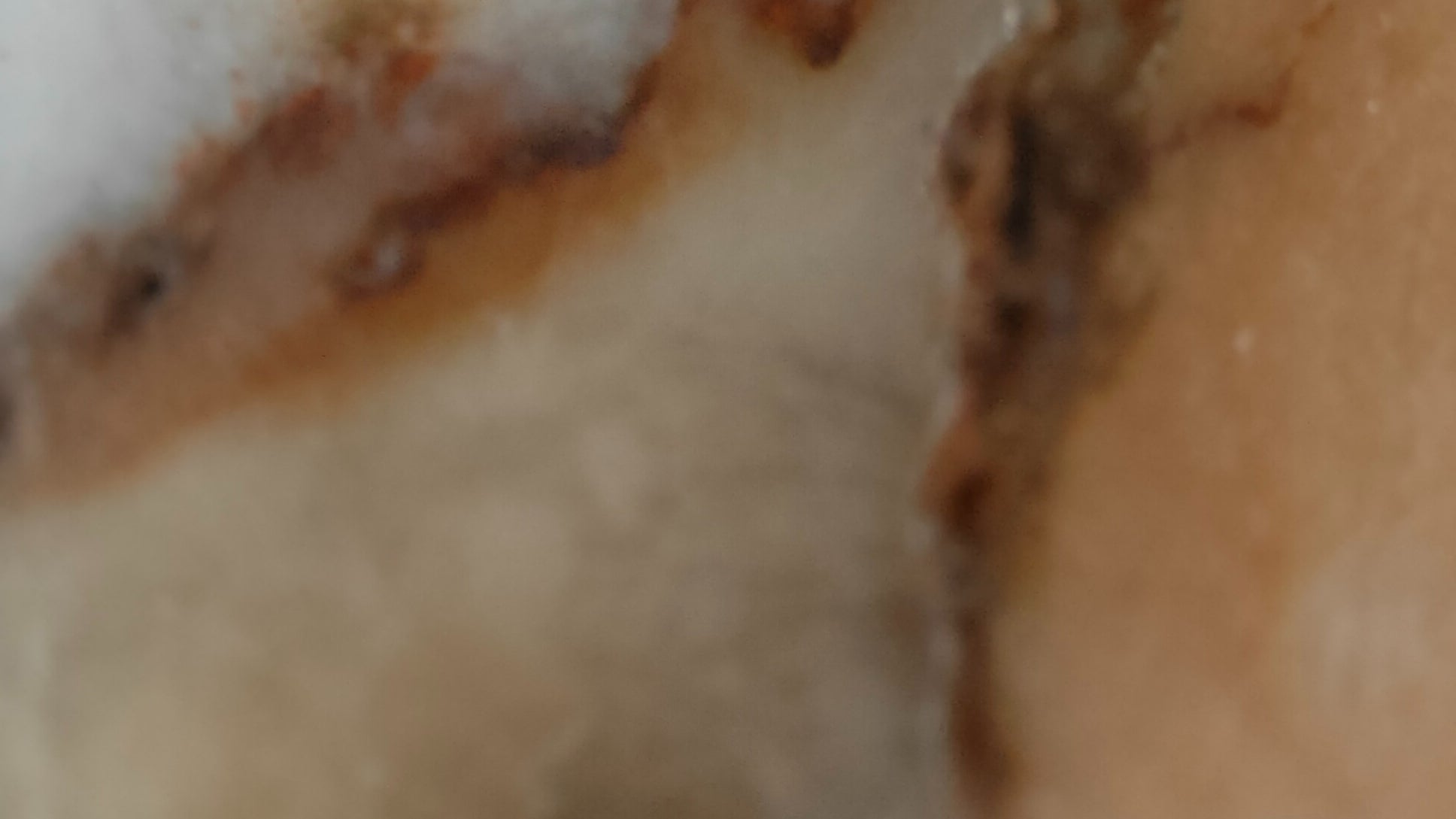 Photo prise avec le zoom x30 (microscope)