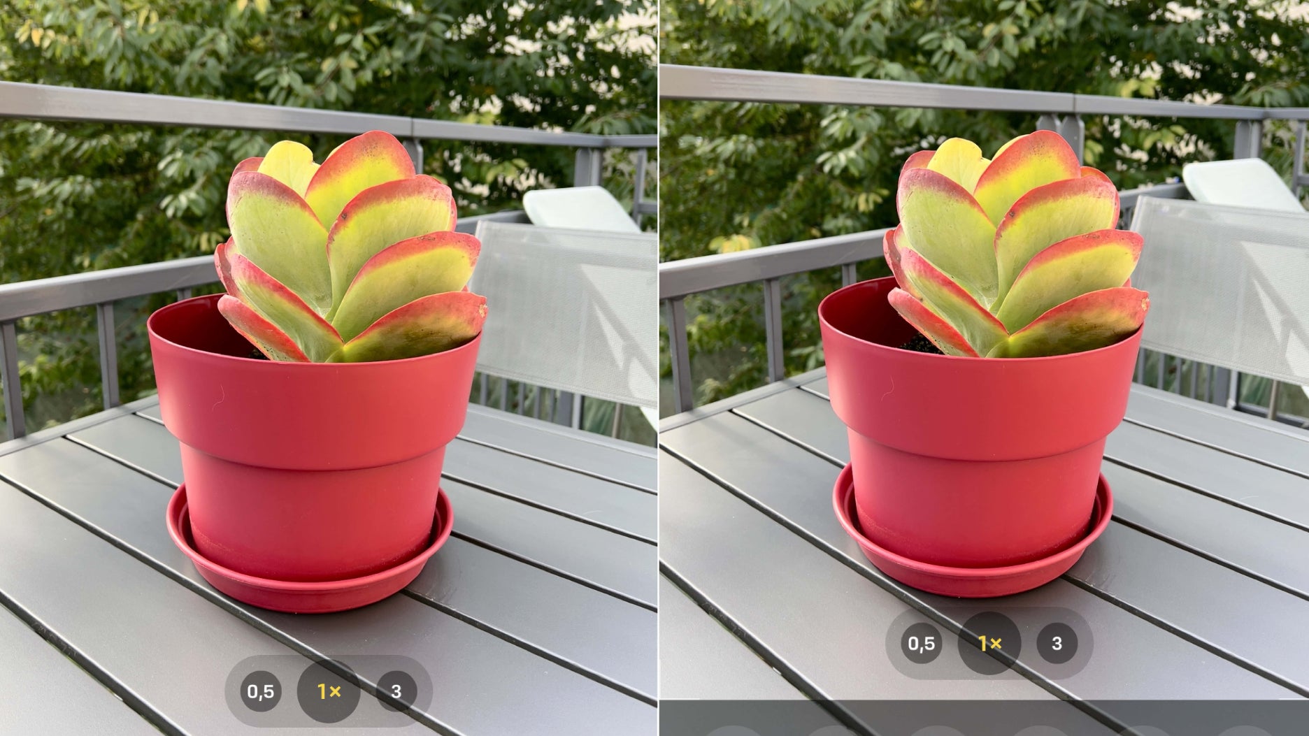 Pour ouvrir les Styles Photographiques, suivez les flèches rouges...