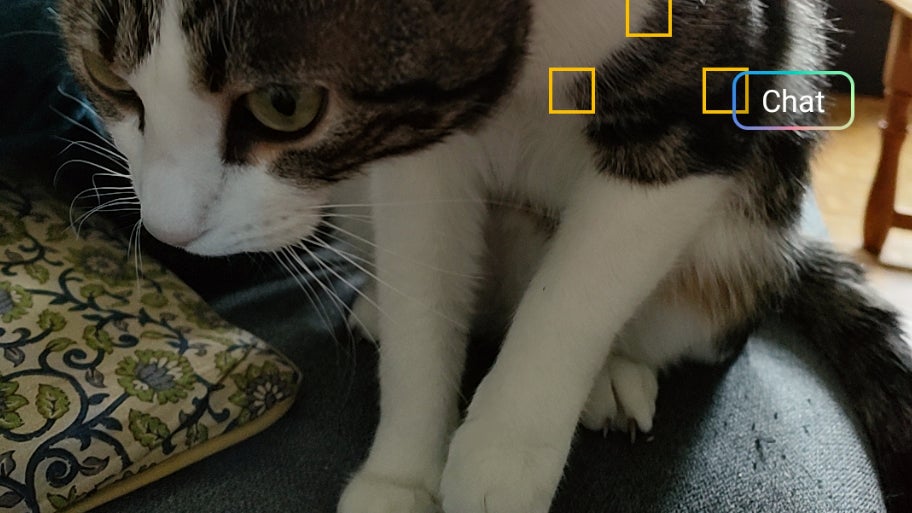 Le chat Sauron n'est donc pas un chien, merci OPPO Find X3 Lite