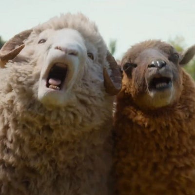 “Il mérite une nomination aux Oscars” : ce film inattendu est le plus vu au monde sur Prime Video