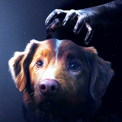 Good Boy : où (re)voir le film d'horreur en France ?