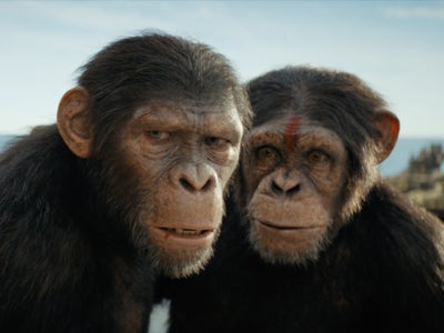 La Planète des singes : dans quel ordre regarder les films ?