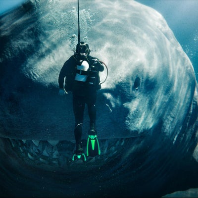5 films de requins à (re)découvrir pour l'été