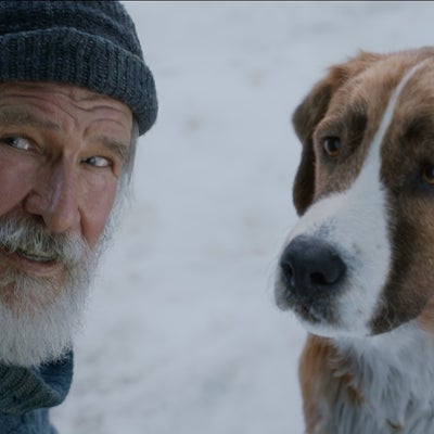 Journée mondiale du chien : sélection de 10 films avec du mordant