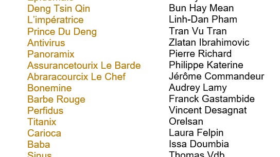 Le casting complet du film Astérix et Obélix : L'Empire du Milieu Le casting complet du film Astérix et Obélix : L'Empire du Milieu