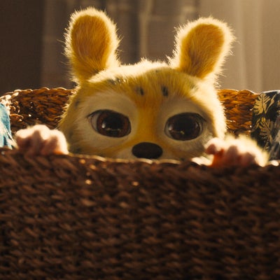 Marsupilami : faut-il avoir vu le premier film avant d’aller au cinéma ?