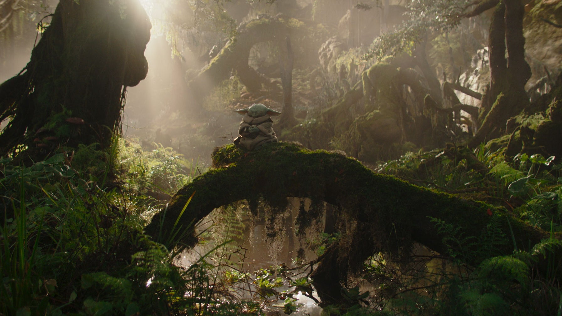 Grogu médite en solo dans "The Mandalorian and Grogu".