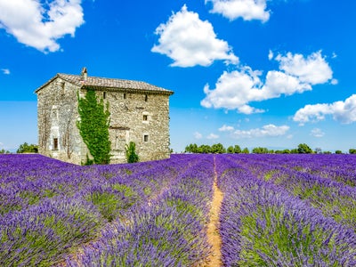 Comment savoir si mon logement est en zone blanche ?