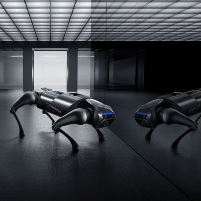 Xiaomi présente son... chien-robot