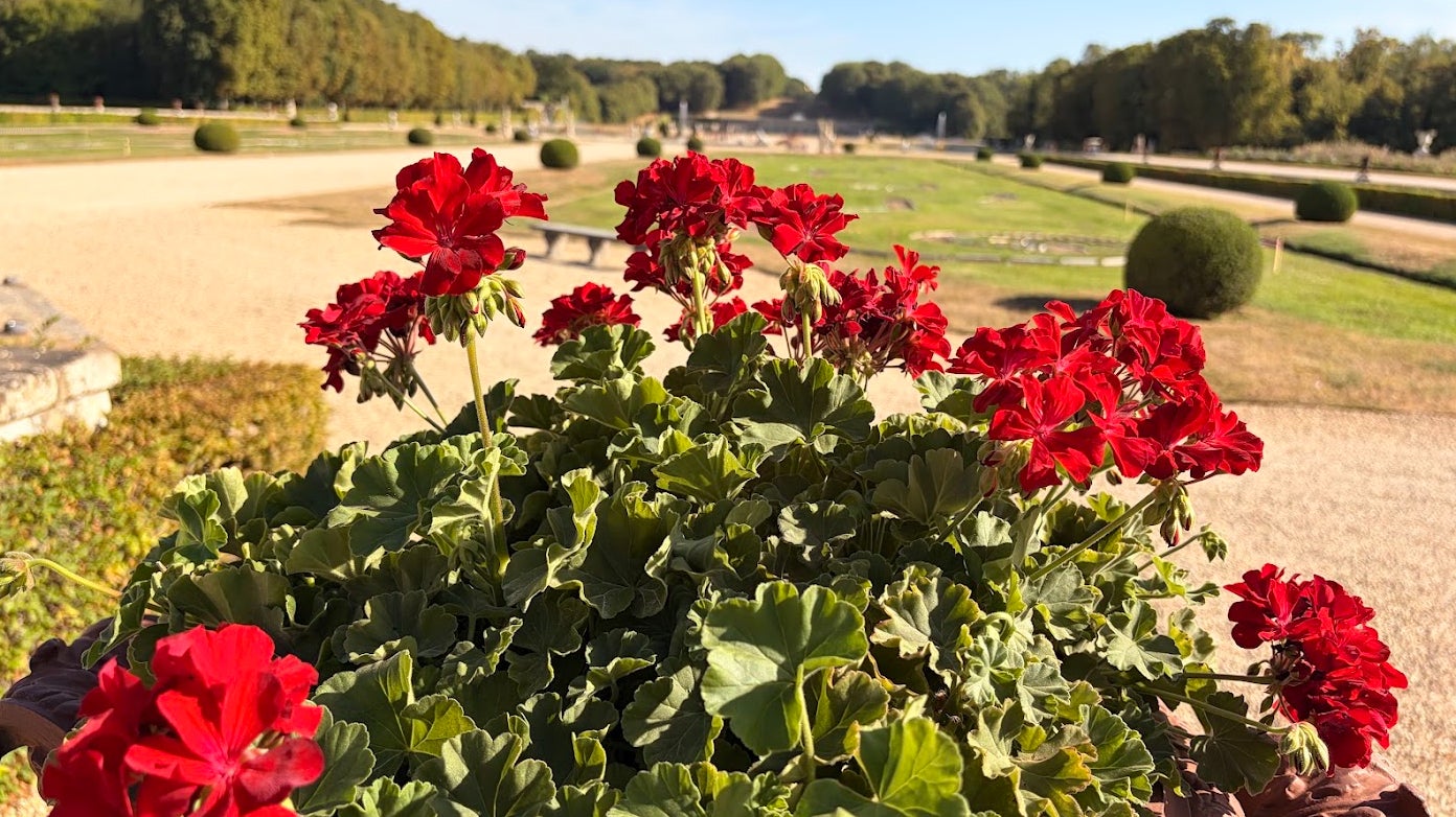 De même que les couleurs vives en plein soleil.